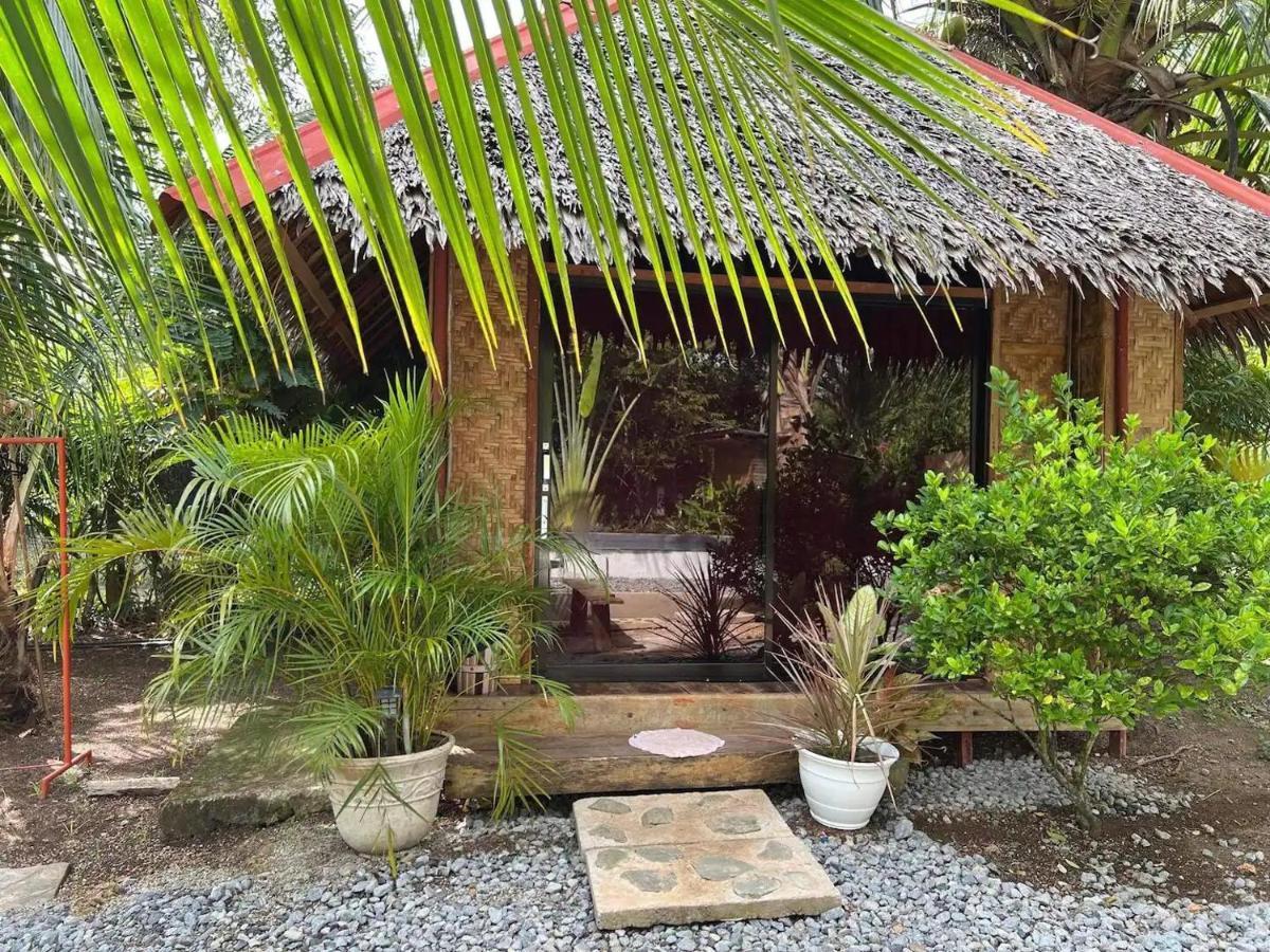 Bohol Island Homestay Dauis Bagian luar foto
